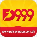 FD999 Game